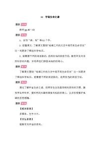 小学语文统编版(2024)六年级上册宇宙生命之谜教案