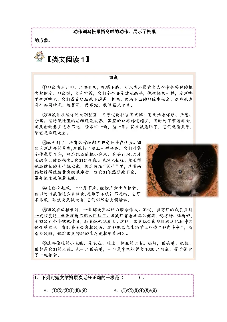 五年级语文上册类文阅读——《松鼠》试题(含答案)第3页