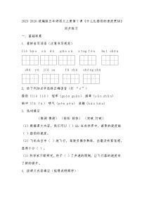 小学语文统编版（2024）五年级上册什么比猎豹的速度更快课时练习