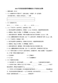 2025年河南省南阳市桐柏县小升初语文试卷
