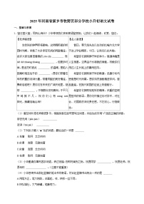 2025年河南省新乡市牧野区部分学校小升初语文试卷