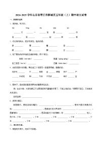 2024-2025学年山东省枣庄市薛城区五年级（上）期中语文试卷
