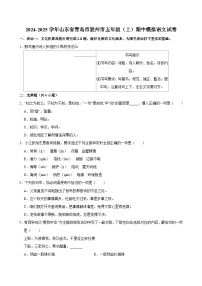 2024-2025学年山东省青岛市胶州市五年级（上）期中模拟语文试卷