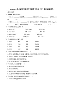 2024-2025学年湖南省娄底市涟源市五年级（上）期中语文试卷