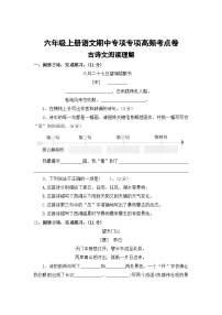 古诗文阅读理解——2025-2026学年六年级上册语文期中专项专项高频考点卷（统编版）（含答案）