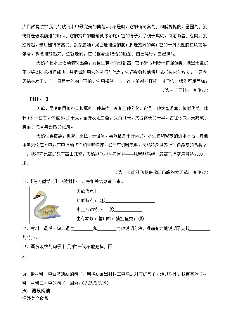 部编版五年级上册语文1.白鹭同步练习【含答案+解析】第3页