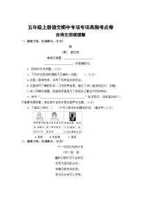 古诗文阅读理解——2025-2026学年五年级上册语文期中专项专项高频考点卷（统编版）（含答案）
