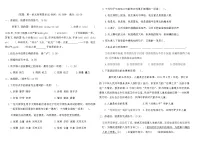 统编版六年级语文上学期期中综合提优卷(B)（含答案）
