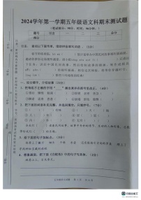 广东省广州市番禺区2024-2025学年五年级上学期期末测试语文试题