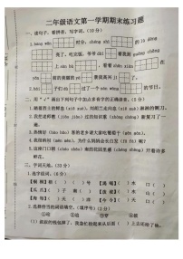 河北省廊坊市霸州市2024-2025学年二年级上学期1月期末语文试题