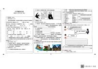 广东省佛山市高明区2024-2025学年第二学期三年级语文期末试卷(无答案)