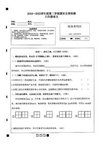 广东省东莞市万江街道中心小学学校2024-2025学年第二学期六年级语文期末试卷（无答案）