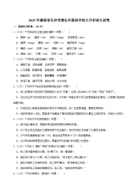 2025年湖南省长沙市雅礼外国语学校小升初语文试卷