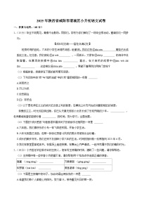 2025年陕西省咸阳市渭城区小升初语文试卷