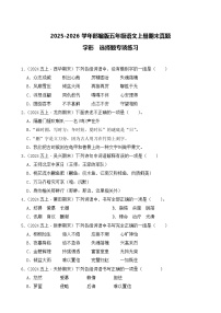 （期末真题）2025-2026学年部编版五年级语文上册期末真题字形 选择题专项练习（含答案解析）