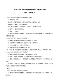 （期末真题）2025-2026学年部编版四年级语文上册期末真题句子  专项练习（含答案解析）
