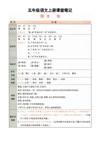 小学语文统编版（2024）五年级上册太阳学案