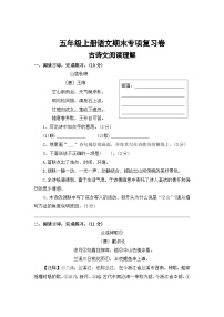 九、古诗文阅读理解——2025-2026学年五年级上册语文期末专项复习卷（统编版）（含答案）