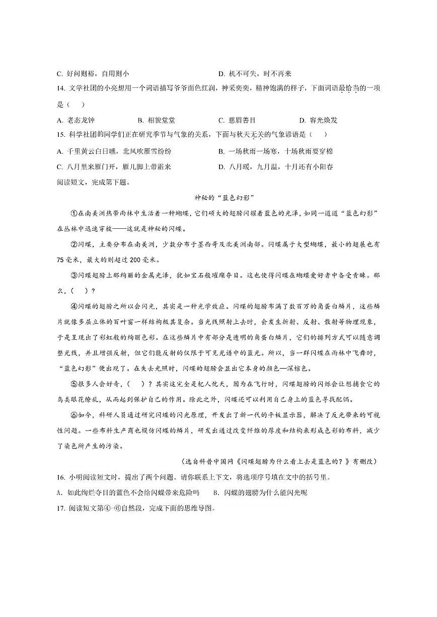 2024-2025学年北京市朝阳区统编版四年级上册期末考试语文试卷(含答案)第3页