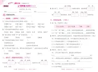 2年级下册语文练重点试卷（含答案）