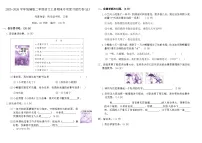 2025-2026学年统编版二年级语文上册期末专项复习提优卷(五)（含答案）