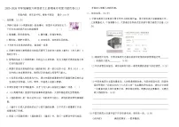统编版六年级语文上册期末专项复习提优卷(三)(含答案)
