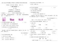 2025-2026学年统编版三年级语文上册期末专项复习提优卷(四)(含答案)