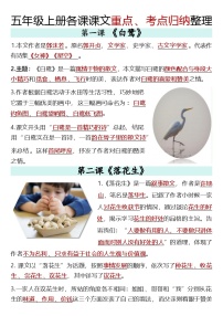 最新1-26课知识点归纳整理-2025-2026学年五年级上册语文统编版