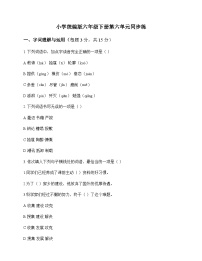 小学 语文  统编版 六年级下册 第六单元 同步练及答案