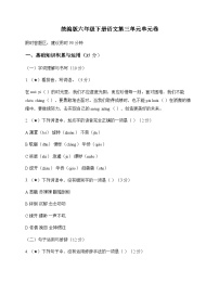 小学 语文 统编版 六年级下册 第三单元 单元卷及全面解读