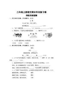 九、诗歌阅读理解——2025-2026学年二年级上册语文期末专项复习卷（统编版）（含答案）