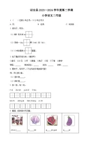 福建省漳州市诏安县统编版二年级下册期中考试语文试卷（原卷版）-A4