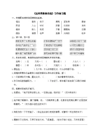 小学语文统编版(2024)三年级下册(2024)第八单元习作 这样想象真有趣精品课后测评