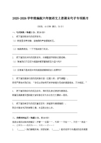 2025-2026学年统编版六年级语文上册期末句子专项练习