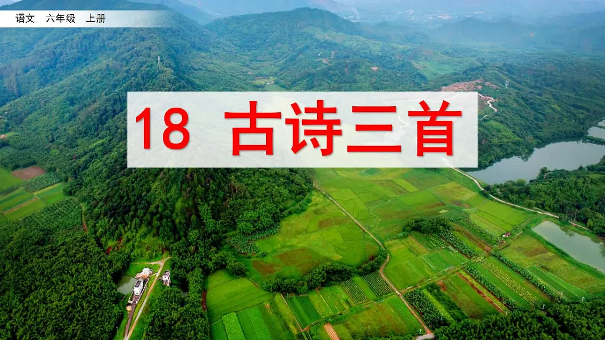 17826660第3页