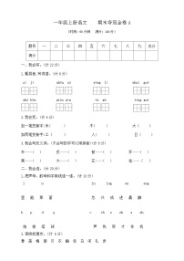 一年级上册语文    期末夺冠金卷A   部编版   含答案
