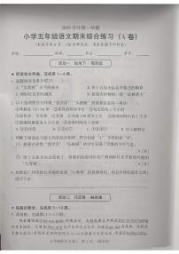 广东省广州市荔湾区2025-2026学年第一学期五年级语文期末试卷（无答案）