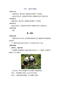 统编版（2024）三年级下册（2024）第七单元习作 国宝大熊猫教学设计