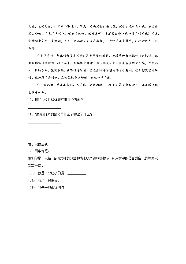 13.猫同步练习 统编版语文四年级下册第3页