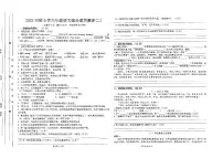 广东省汕尾市陆丰市碣石镇2025-2026学年六年级上学期11月月考语文试题