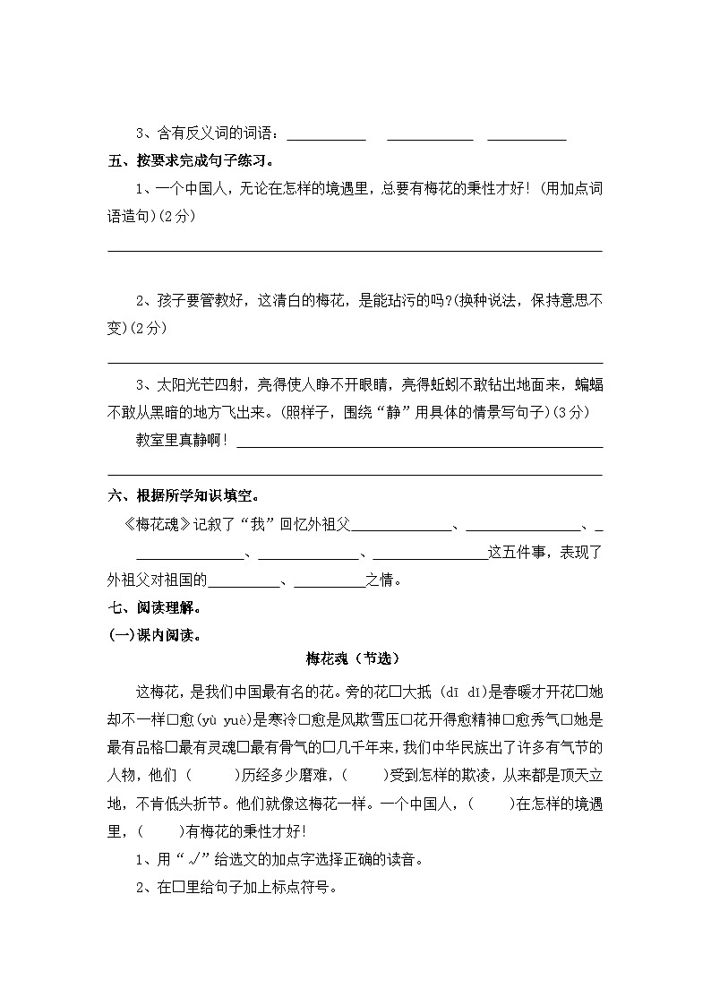 【寒假作业】第11天:快乐预习(4、梅花魂)——2025-2026学年五年级语文(统编版)(含答案)第3页