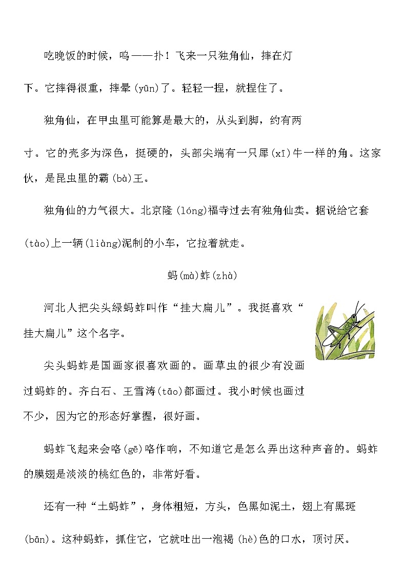 2025-2026寒假三年级语文下册预习课作业-《昆虫备忘录》(含答案)第3页