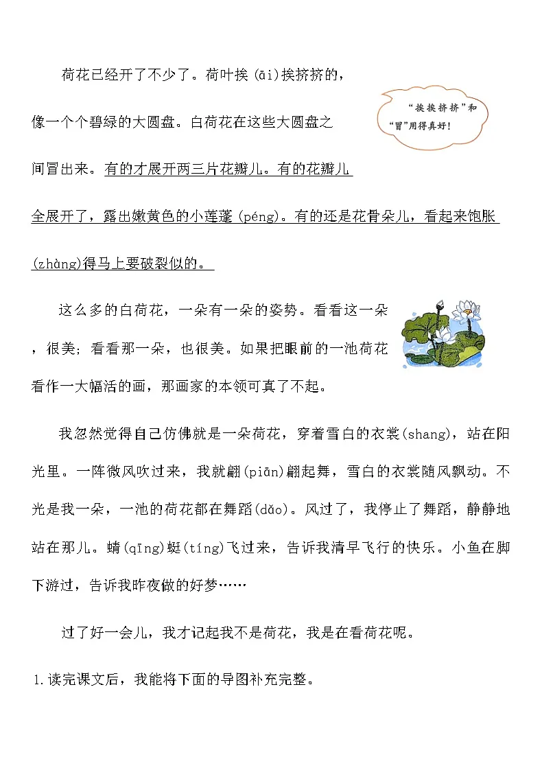 2025-2026寒假三年级语文下册预习课作业-《荷 花》(含答案)第2页