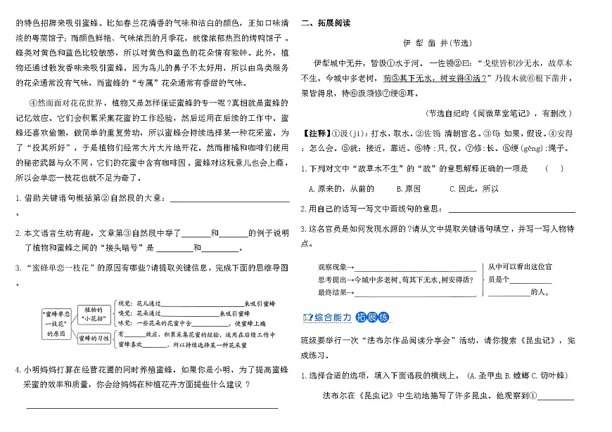 2025-2026统编版三年级语文下册课时基础通关作业-《10 石蜂》(含答案)第2页