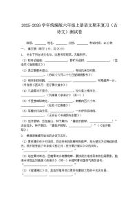 2025-2026学年统编版六年级上册语文期末复习（古诗文）测试卷（含答案）