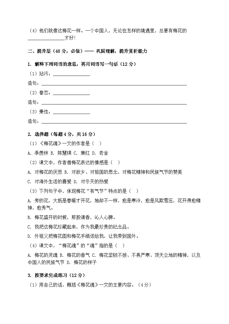 统编版五年级语文下册第一单元第4课《梅花魂》分层作业(含答案)第2页