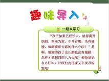 小学语文人教部编版二年级上册课文13 植物妈妈有办法优秀课件ppt