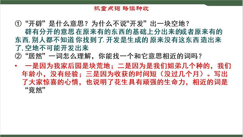 2《落花生》课件06