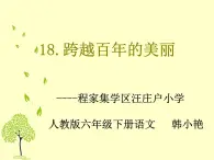 18.《跨越百年的美丽》 课件