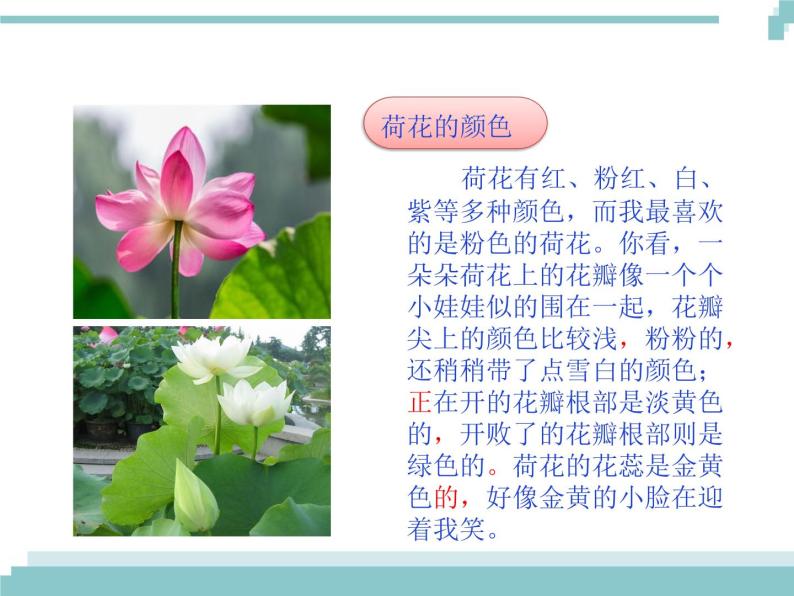 人教部编版三年级下册习作我的植物朋友说课ppt课件